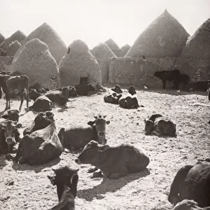 1943 Syria village with traditional mud beehive houses