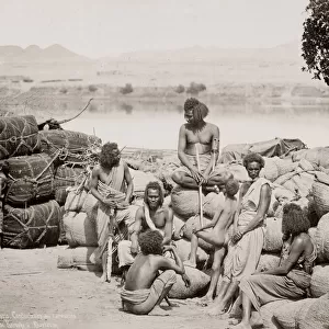 19th century vintage photograph: Bichari, Bishari desert guides - used to guide camel