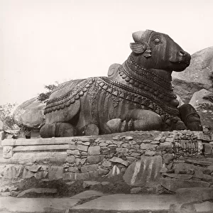 19th century vintage photograph India - Chamundi Hill stone bull, Mysore