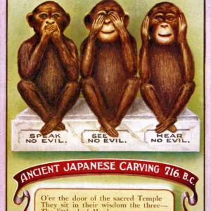 3 Wise Monkeys / Japanese