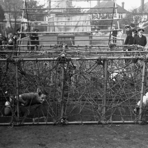 36 Area Sports Meeting at Woodford Wells, Essex 36 Area Sports Meeting at Woodford Wells, Essex