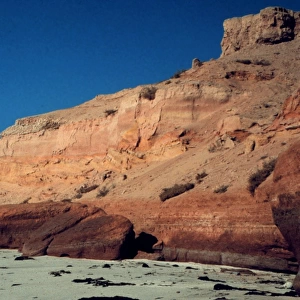 6 million year old fossiliferous sandstones