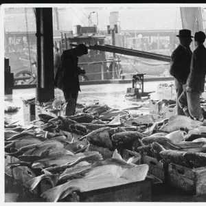 Aberdeen Fish Market