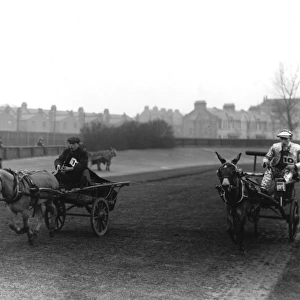 An action shot of donkey cart racing in London