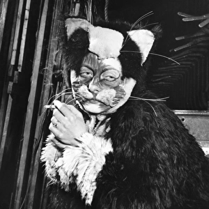 Actress Freda Wyn relaxing in cat costume during a pantomime