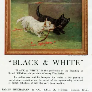 Advertisement, Buchanans Black & White Whisky