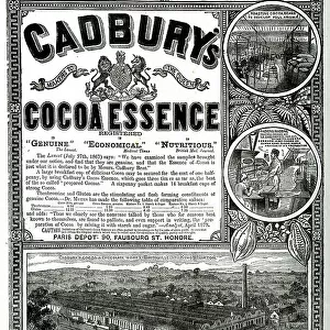 Advert, Cadbury's Cocoa Essence, Bournville