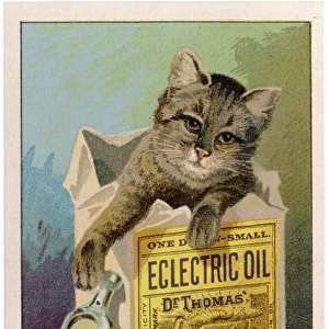 Advert / Eclectric Oil