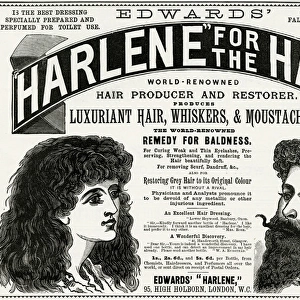 Advert for Edwards Harlene hair product 1893