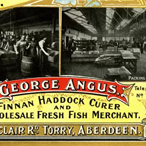 Advert, George Angus, Fish Merchant, Aberdeen
