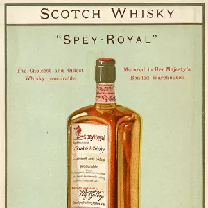 Advertisement, Gilbeys Scotch Whisky, Spey-Royal