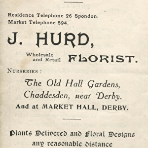 Advertisement for J Hurd, Florist, Chaddesden and Derby