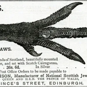 Advert for James Aitchison brooches 1883