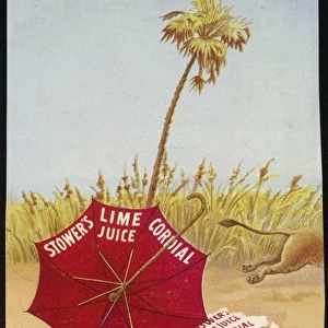 Advert / Lime Juice 3 / 5