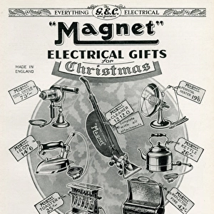 Advert for Magnet household items 1929