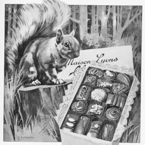 Advert for Maison Lyons chocolate, 1925