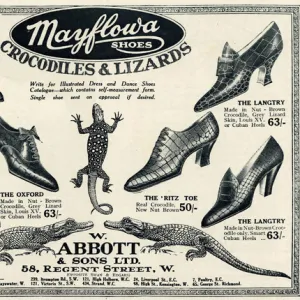 Advert for Mayflowa crocodile and lizard womens shoes 1923