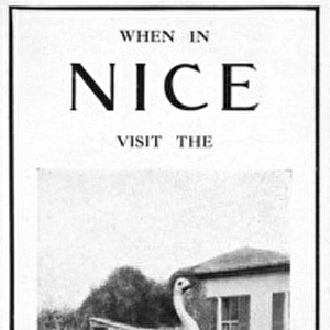 Advertisement for the Nice Ostrich Farm