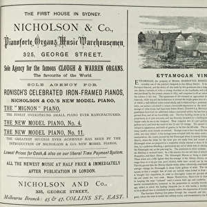 Advertisement for Nicholson and Co, Australia