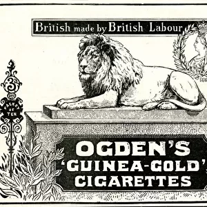Advert for Ogdens Guinea-Gold Cigarettes