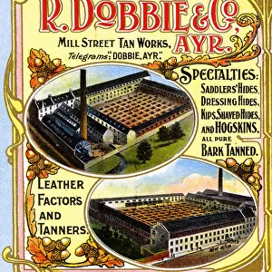 Advert, R Dobbie & Co, Leather Tanners, Ayr, Scotland