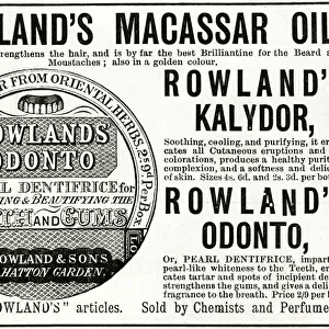 Advert for Rowlands Macassar Oil 1890