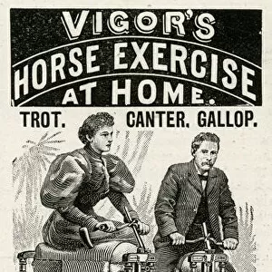 Advert for Vigors exercise horse at home 1895