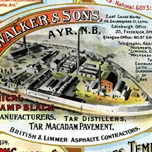 Advert, W G Walker & Sons, Ayr, Scotland