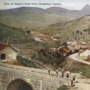 Adams Peak from Maskeliya, Ceylon (Sri Lanka)