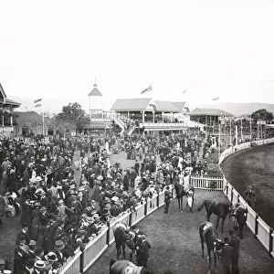 Adelaide Australia, c. 1900-1910 - Victoria Park Racecourse