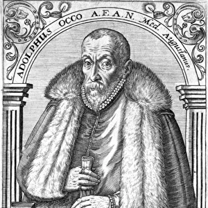 Adolphus Occo