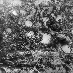 Aerial photograph of Houthulst, Western Front, WW1
