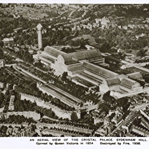Aerial View of the Crystal Palace, Sydenham Hill, London