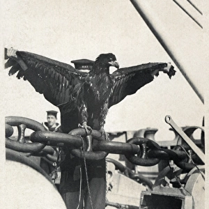 Aircraft carrier HMS Eagle with mascot