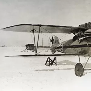 Albatros D. V