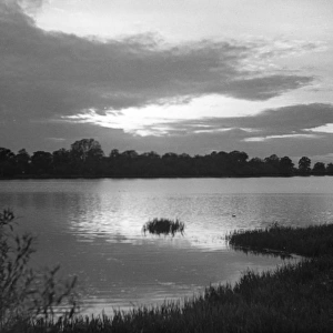 Aldenham Reservoir