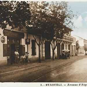 Algeria - Staoueli - Avenue d Alger