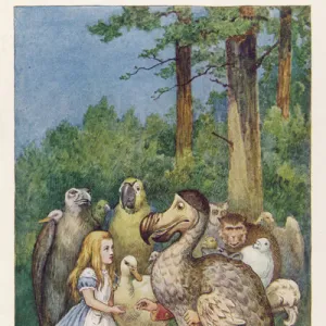 Alice and the Dodo