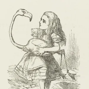 Alice with the Flamingo