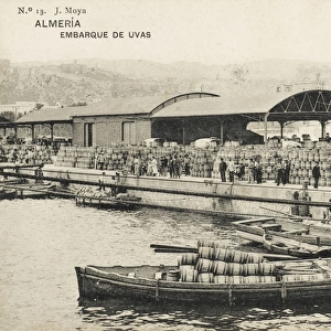 Almeria, Spain - Embarkation of Eggs in barrels