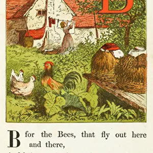 Alphabet / B for Bees