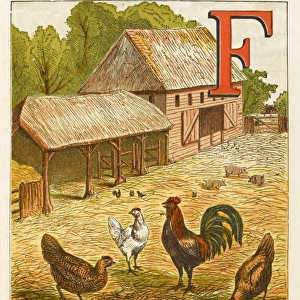 Alphabet / F for Fowl