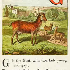 Alphabet / G for the Goat