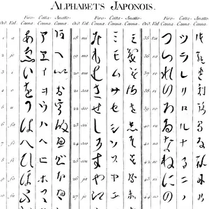 Alphabet & Typography
