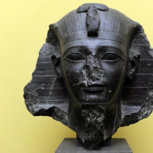 Amenhotep II or Amenophis II. 18th dynasty of Egypt. Diorite
