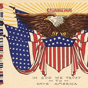 The American eagle and the Stars and Stripes