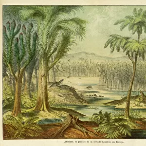 Animals and plants of the Carboniferous era