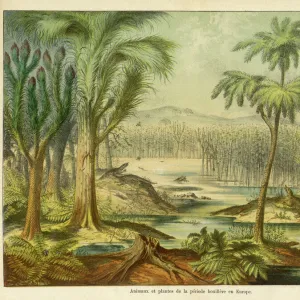 Animals and plants of the Carboniferous era