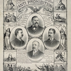 Anti prohibition