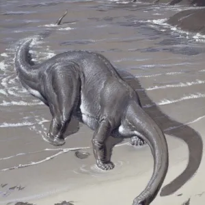 Apatosaurus, previously known as Brontosaurus